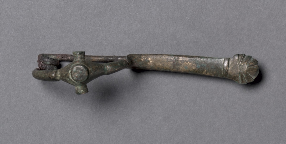 Fibula