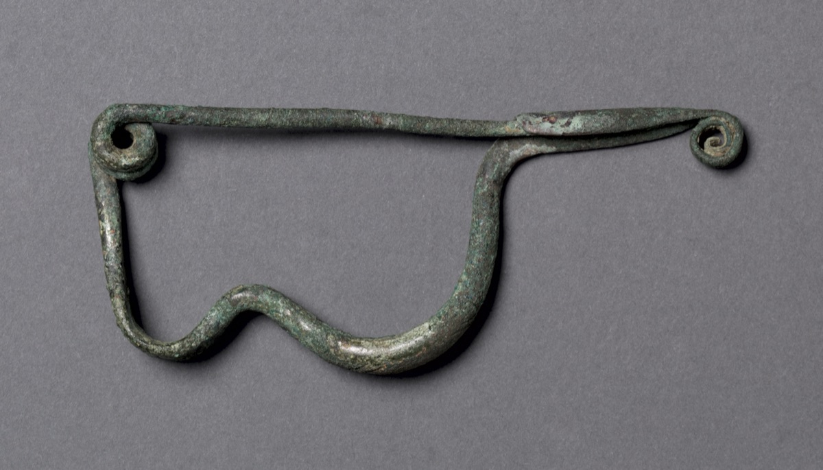 Fibula