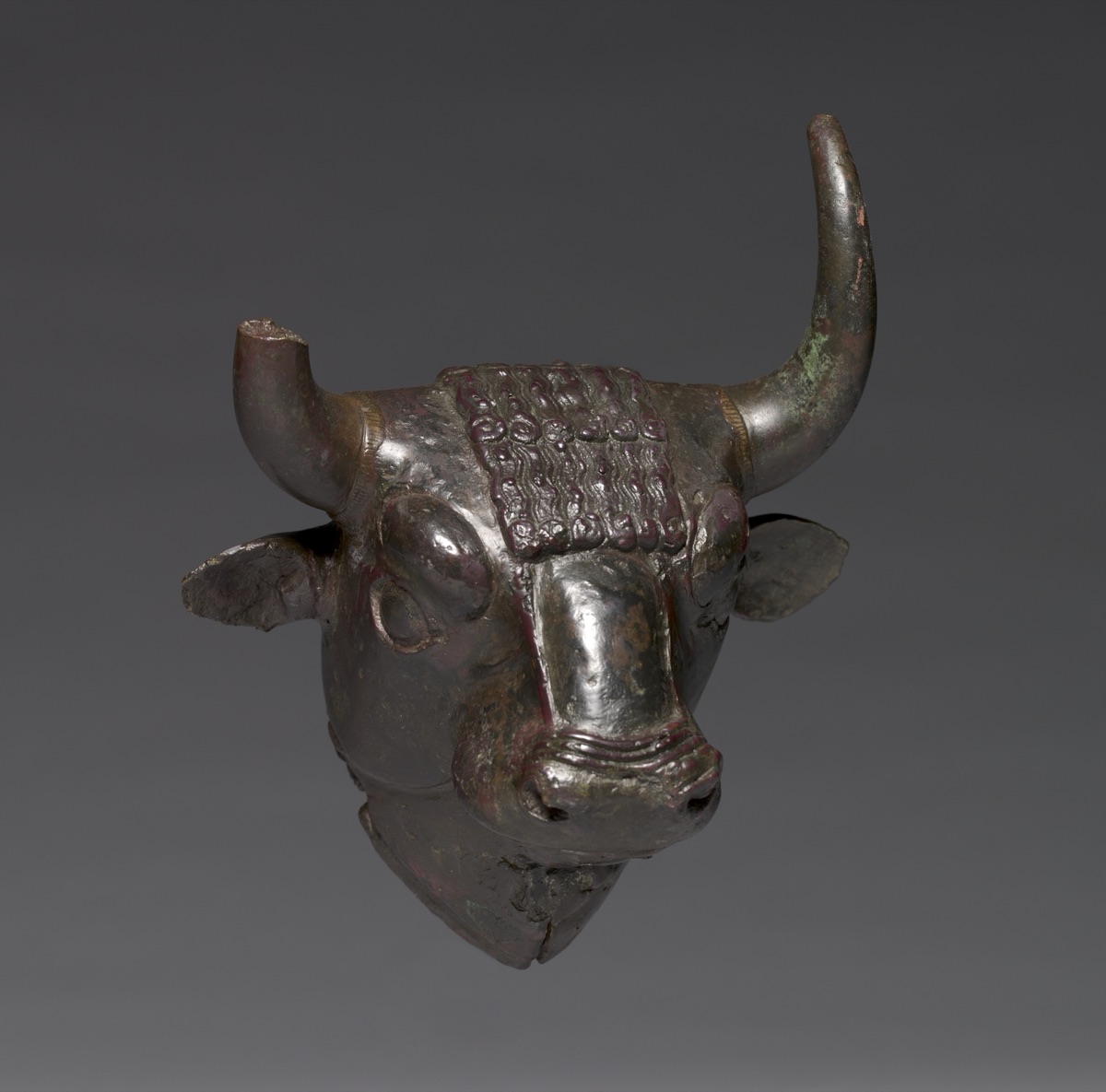 Bull Head Attachment